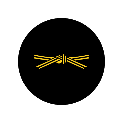 Yellow Stripe Belt